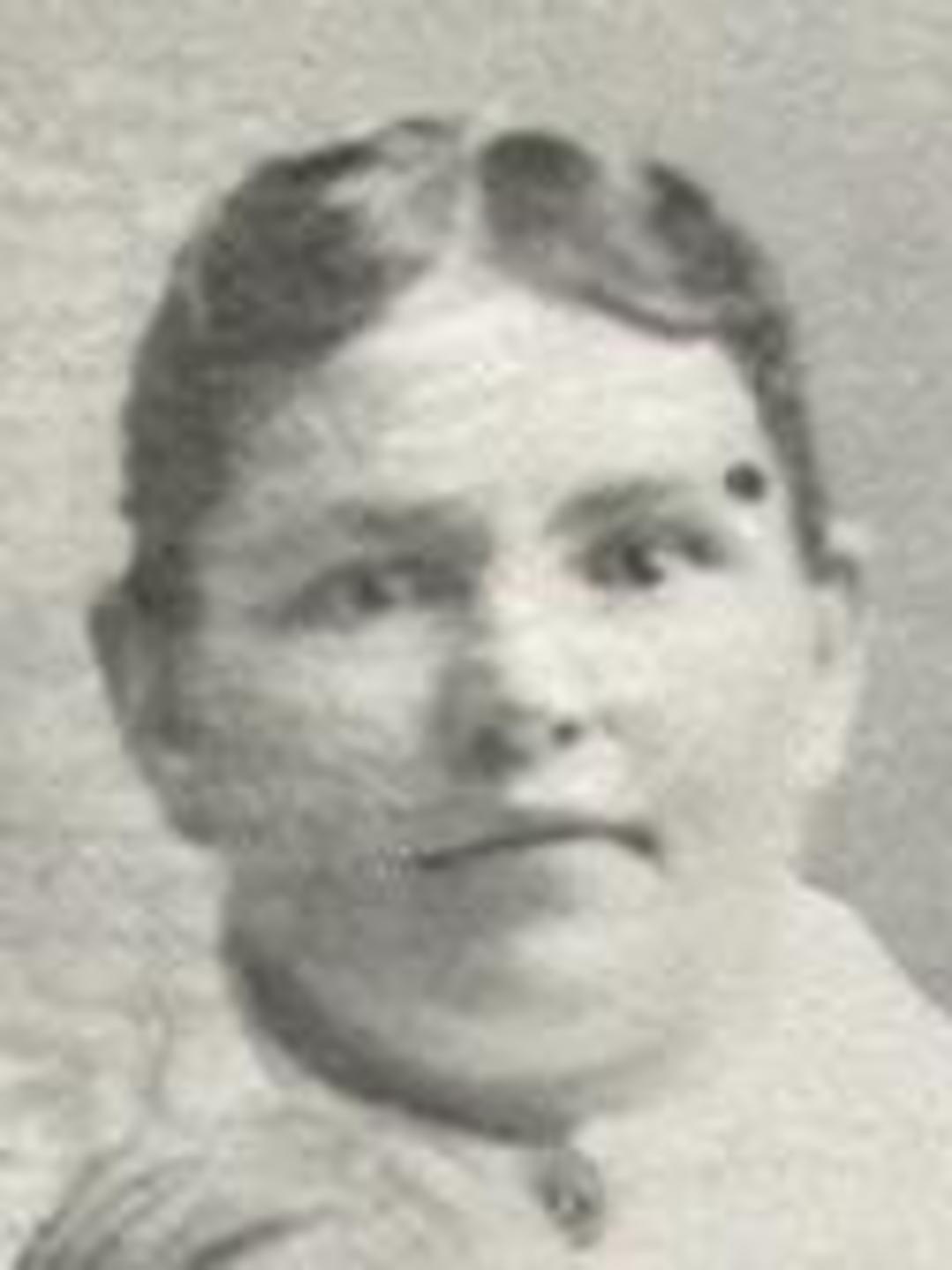 Amelia Magdalena Sulser (1859 - 1934) Profile